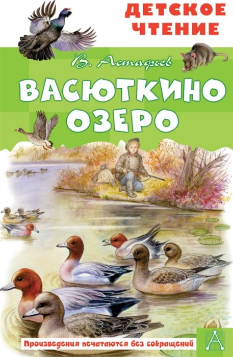 Картинка книги васюткино озеро