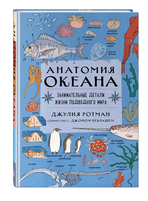 

Анатомия океана Занимательные детали жизни подводного мира