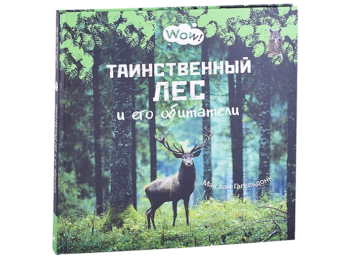 

Таинственный лес и его обитатели