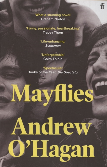

Mayflies