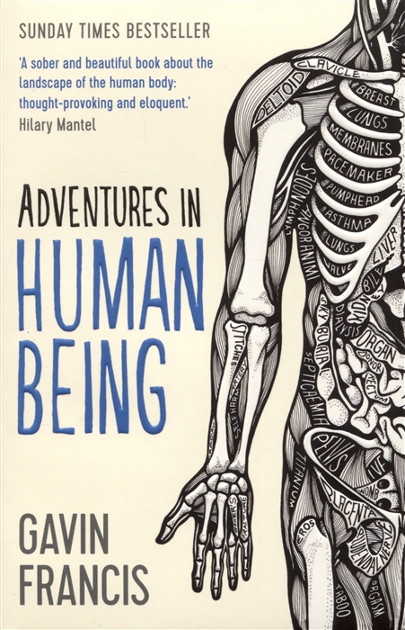 

Adventures in Human Being