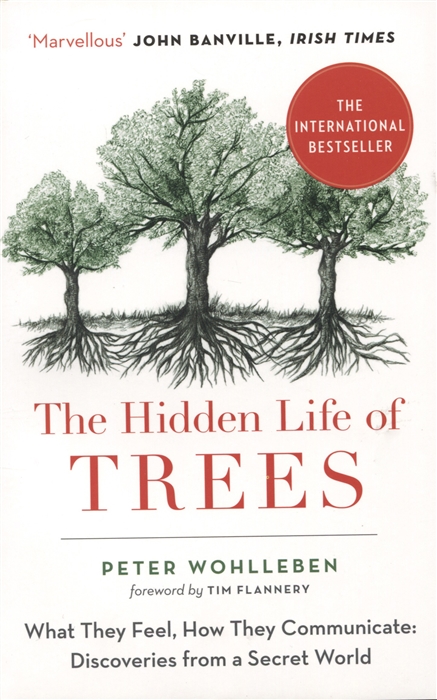 

The Hidden Life of Trees