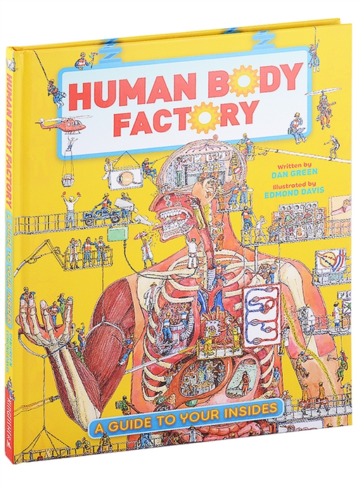

The Human Body Factory A Guide To Your Insides