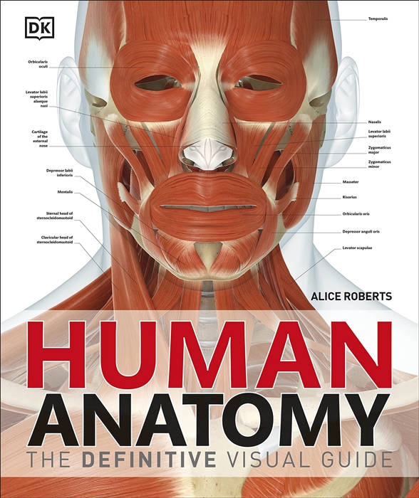 

Human Anatomy