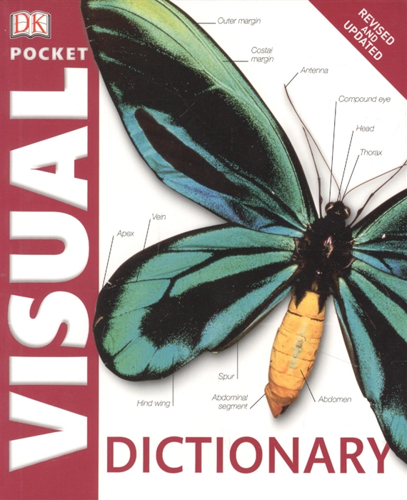 Pocket Visual Dictionary junaeni goebel pocket indonesian dictionary