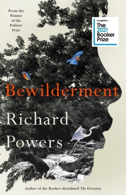 

Bewilderment