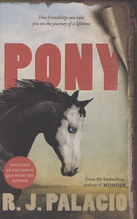 Pony