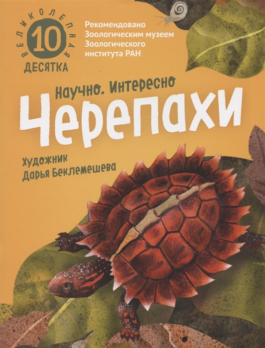 

Великолепная десятка Черепахи