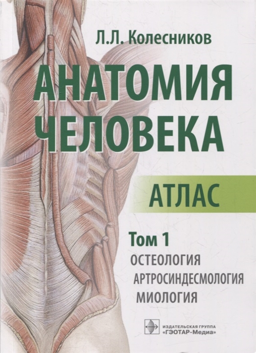 Анатомия человека атлас в 3-х томах Том 1 Остеология артросиндесмология миология