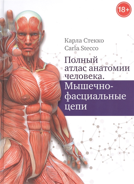 Полный атлас анатомии человека Мышечно-фасциальные цепи