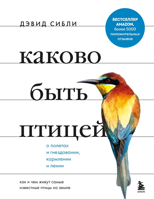 Каково быть птицей о полетах и гнездовании кормлении и пении Как и чем живут самые известные птицы на земле