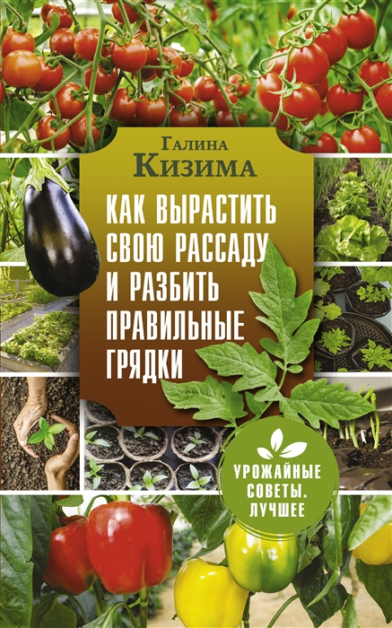 

Как вырастить свою рассаду и разбить правильные грядки