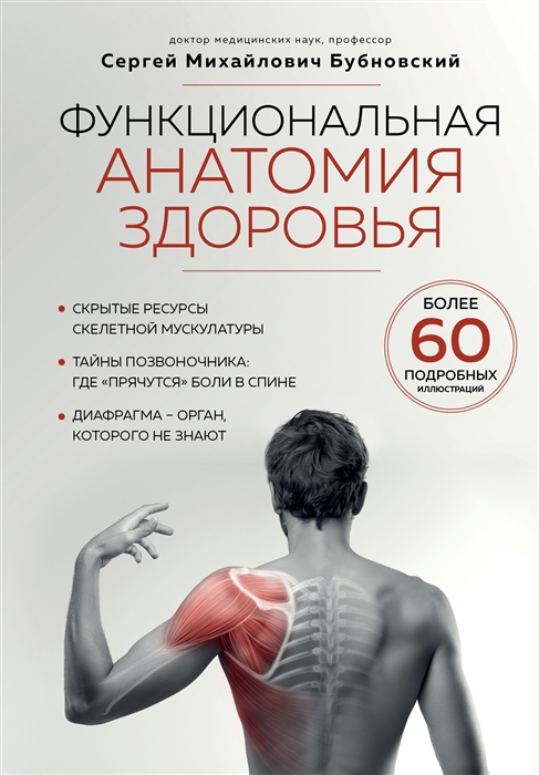 Функциональная анатомия здоровья Функциональная анатомия здоровья