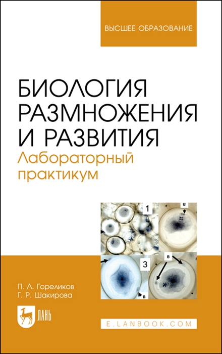 

Биология размножения и развития Лабораторный практикум Учебно-методическое пособие