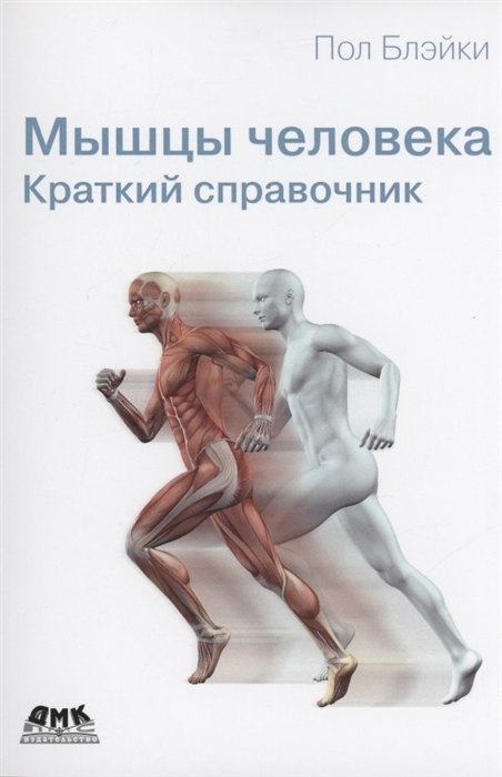 

Мышцы человека Краткий справочник