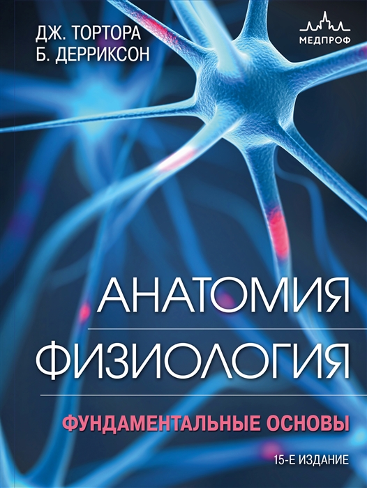 Анатомия Физиология Фундаментальные основы 15-е издание