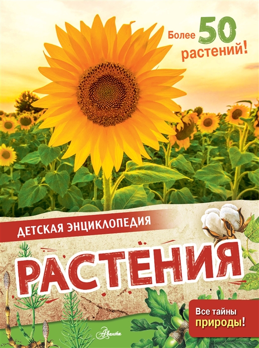 

Растения