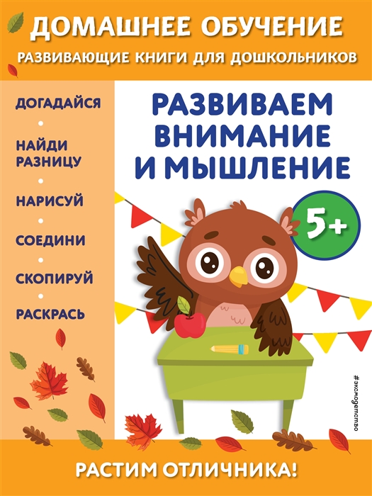 

Развиваем внимание и мышление для детей от 5 лет