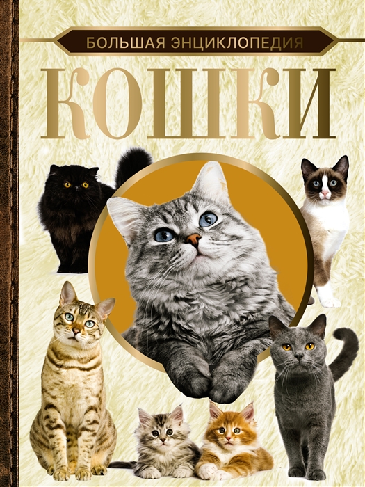

Большая энциклопедия Кошки