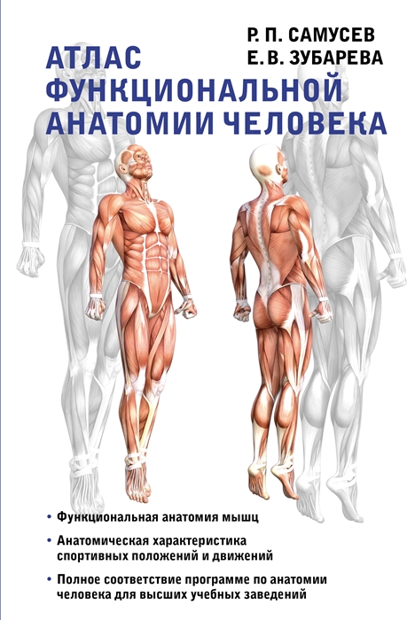 

Атлас функциональной анатомии человека Учебное пособие