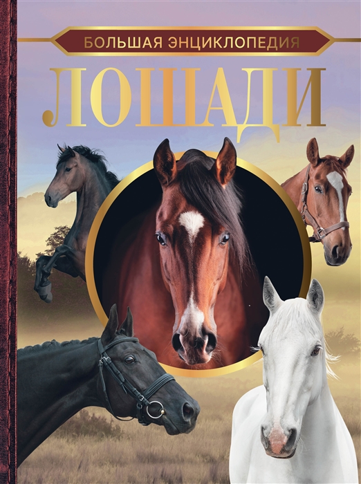 

Большая энциклопедия Лошади