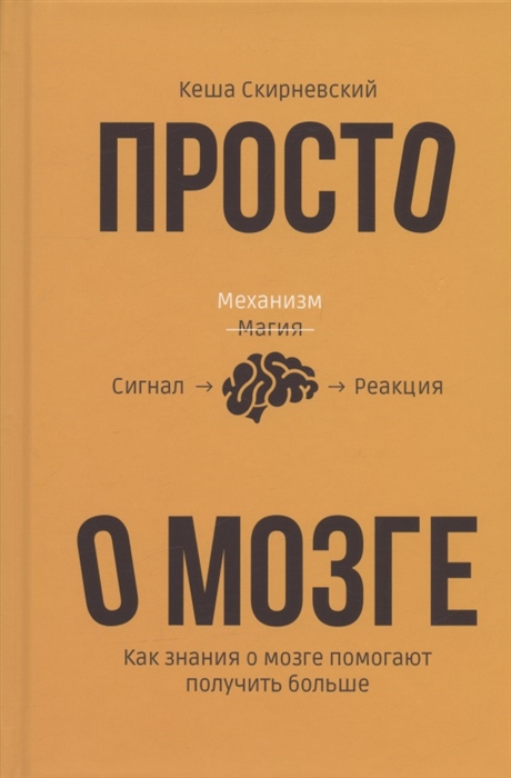 Просто о мозге Как знания о мозге помогают получить больше