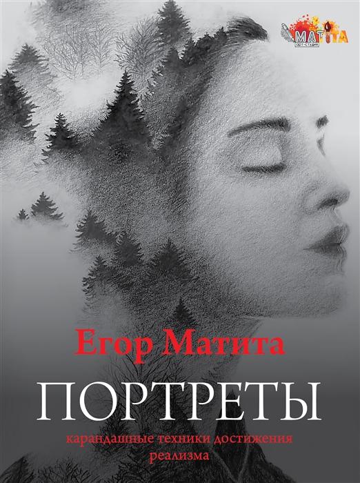 

Портреты карандашные техники достижения реализма