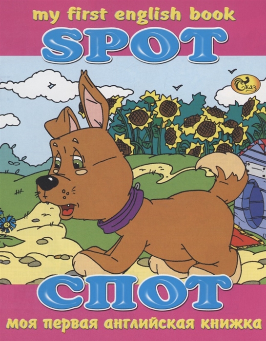 Спот Spot