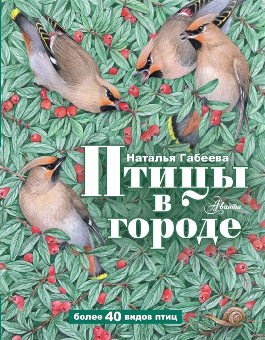 

Птицы в городе