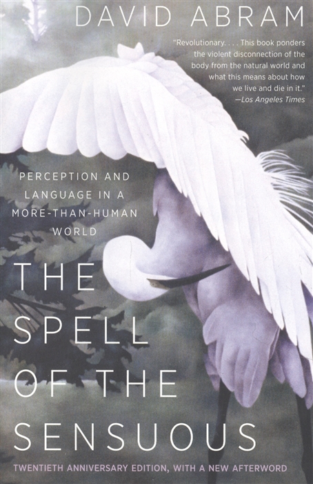 

The Spell of the Sensuous