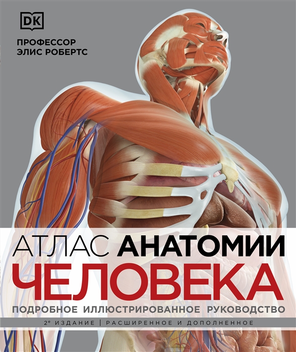 Атлас анатомии человека Подробное иллюстрированное руководство