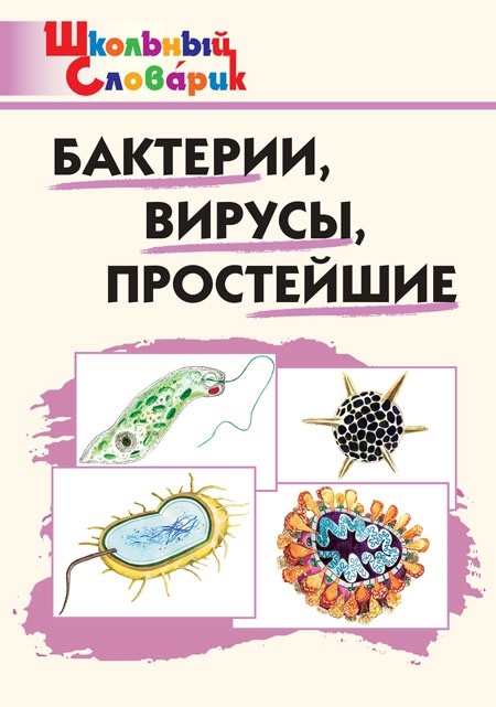 

Бактерии вирусы простейшие Начальная школа