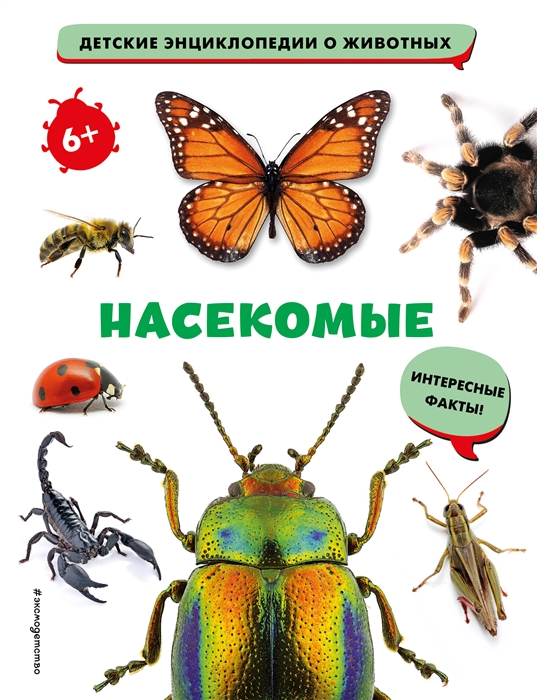 

Насекомые