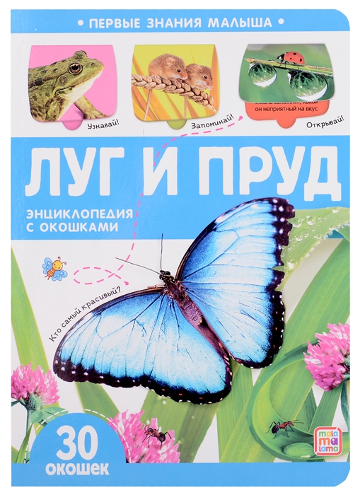 

Луг и пруд книжка с окошками