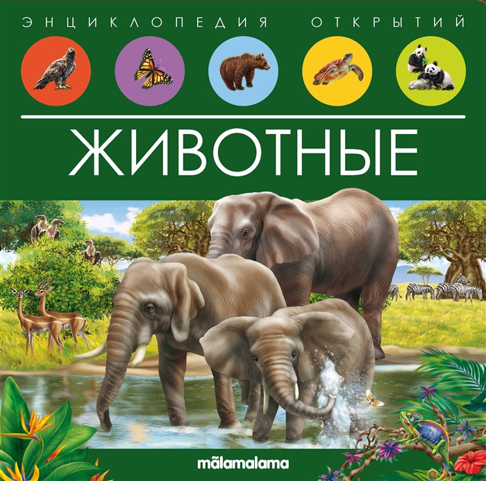 Животные Книжка-панорамка