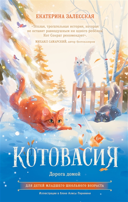 

Котовасия Дорога домой