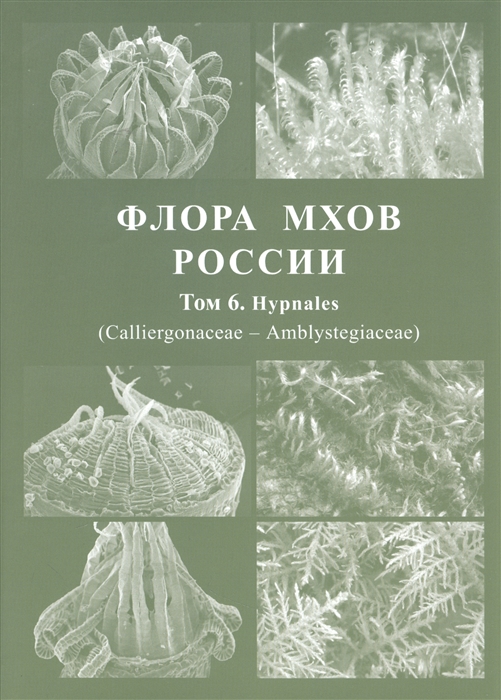 Флора мхов России Том 6