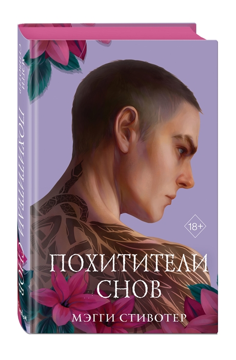 

Вороновый круг Похитители снов 2