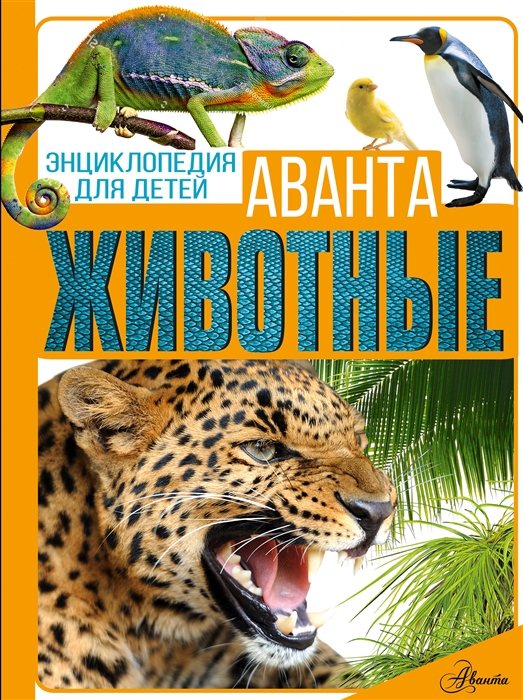 Животные