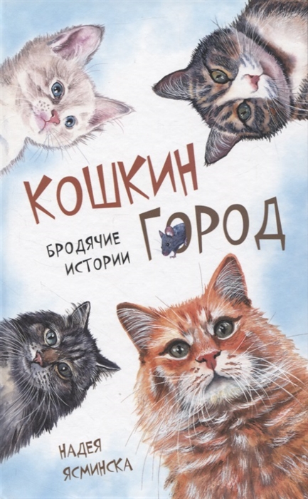 

Кошкин город Бродячии истории