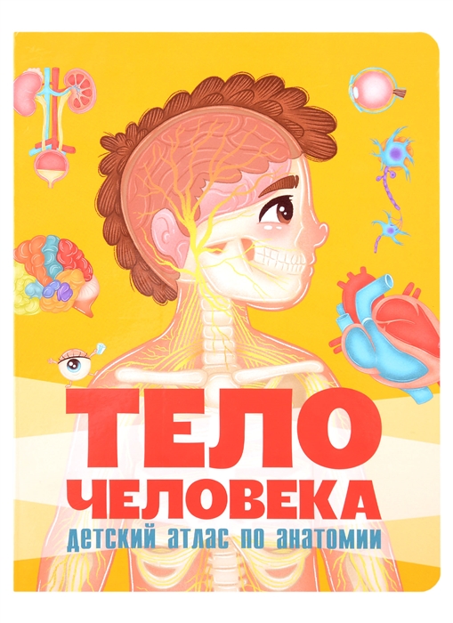 

Тело человека Детский атлас по анатомии