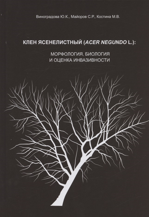 Клен ясенелистный Acer negundo L морфология биология и оценка инвазивности