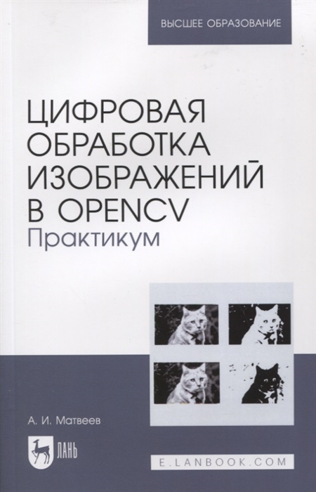 Pdf цифровая обработка изображений pdf