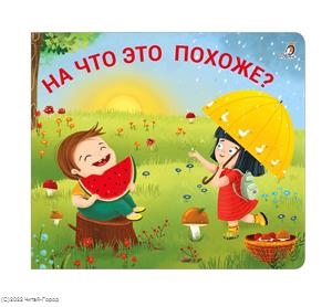 Книжки - задвижки На что это похоже