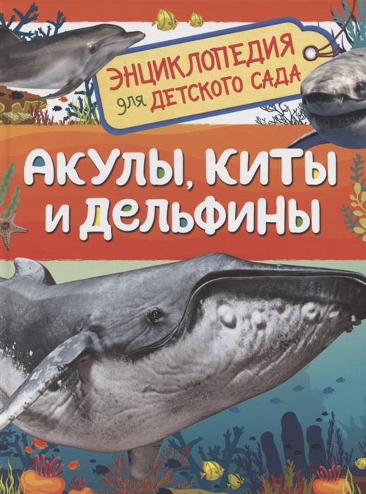 Акулы киты и дельфины Энциклопедия для детского сада