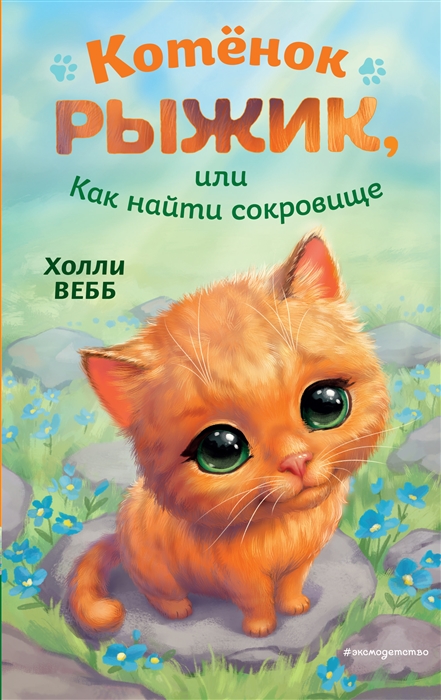 

Котёнок Рыжик или Как найти сокровище