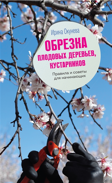 

Обрезка плодовых деревьев кустарников Правила и советы для начинающих