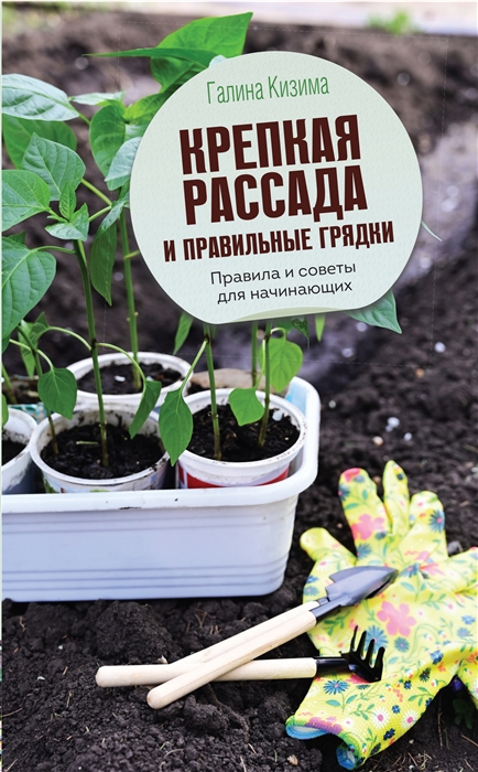 

Крепкая рассада и правильные грядки Правила и советы для начинающих