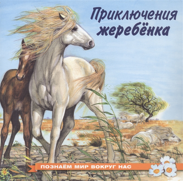 

Приключения жеребенка