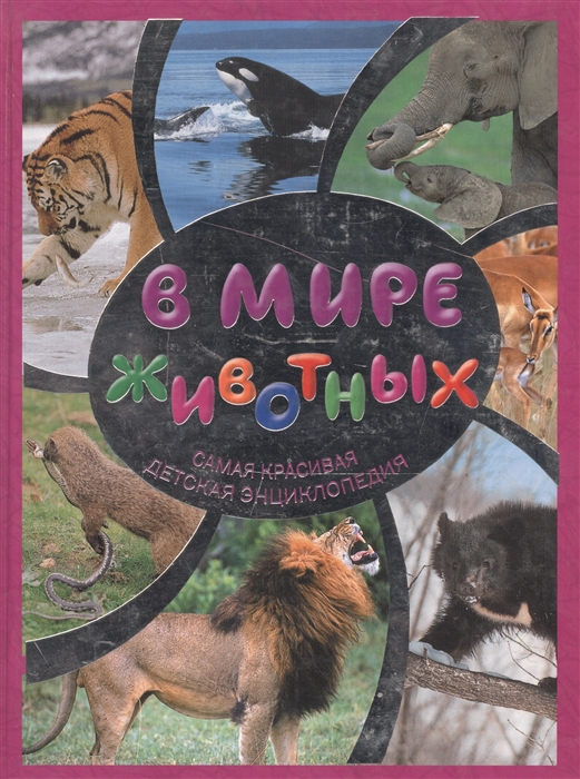 

В мире животных
